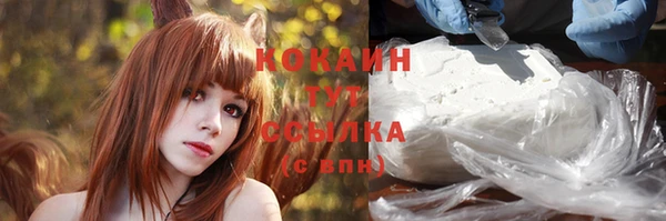 прущий лед Белокуриха