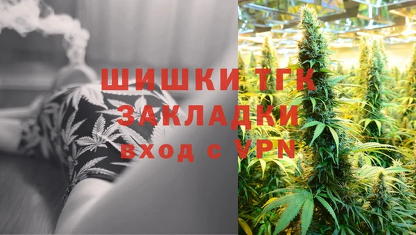 гашик Белоозёрский