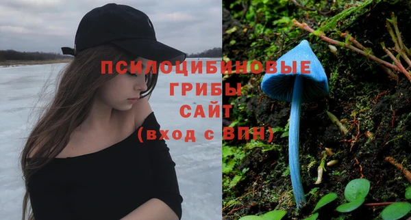 молекула духа Беломорск