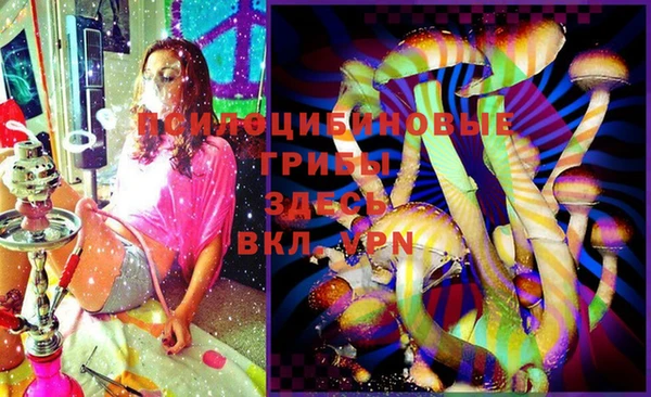 гашик Белоозёрский