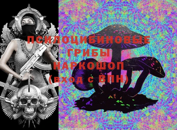 молекула духа Лагань